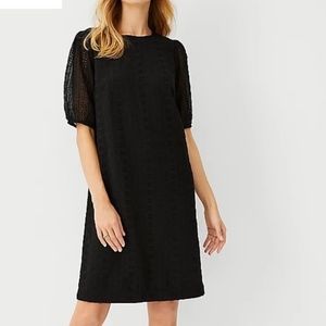 Ann Taylor Eyelet Shift Dress
